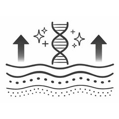 Mejora la firmeza y elasticidad de la piel